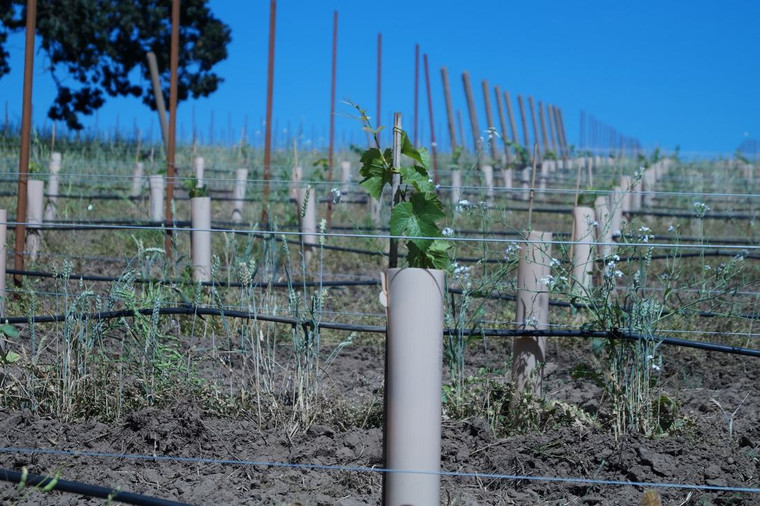 30' LOCKING GROW TUBE