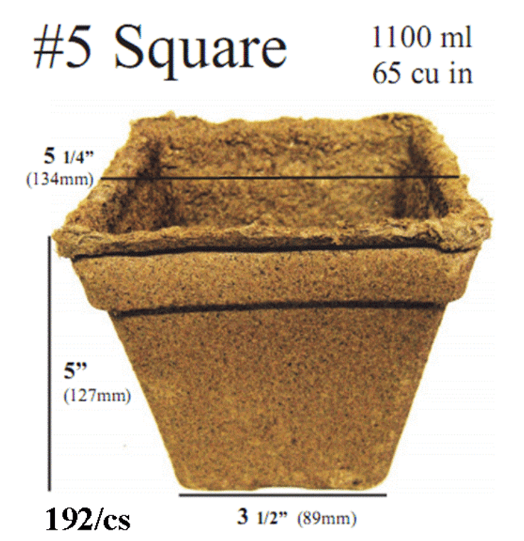 COWPOT #5 SQUARE, (192/CS)