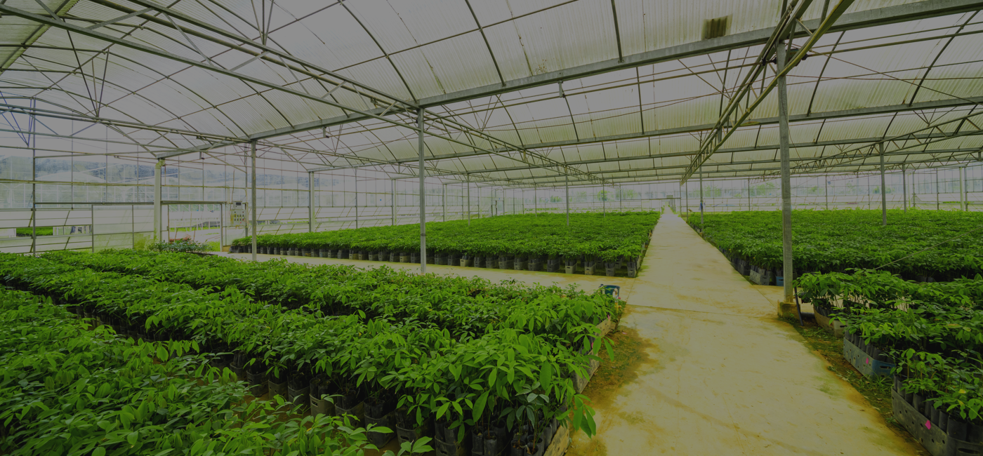 grower s nursery supply