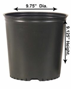 はる(3ポット） 3 NURSERY CONTAINER, (140/CS) - Grower's Nursery Supply