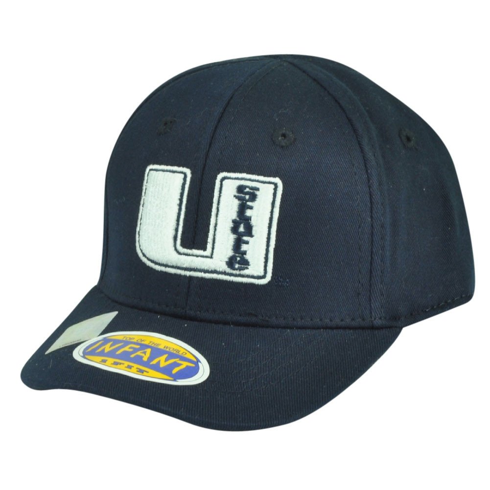 NCAA Utah State Aggies Top of the World 