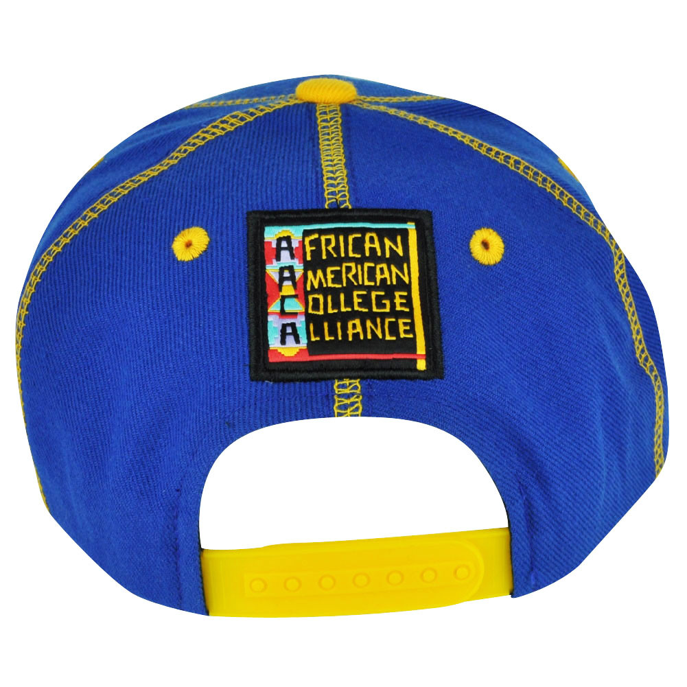 NCAA AACA American Needle North Carolina A&T Aggies Snapback Traxside ...