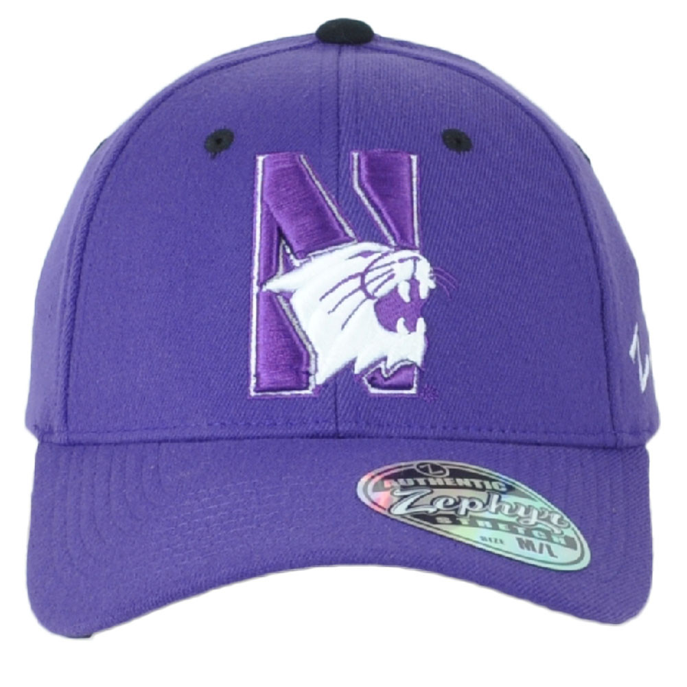 northwestern baseball cap