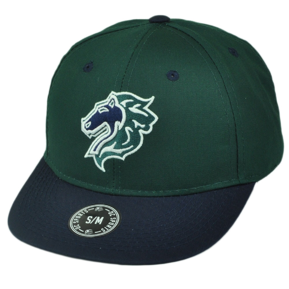 MiLB Charlotte Knight Replica Twill 