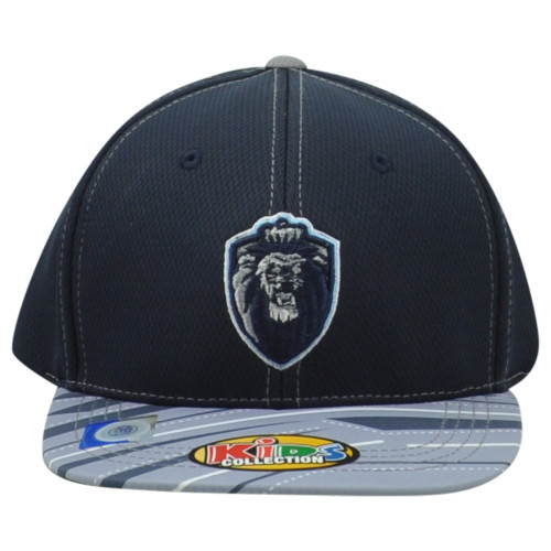 NCAA Captivating Columbia Lions Snapback Two Colors Flat Bill Youth Kids Hat Cap