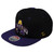 NCAA Zephyr Albany Great Danes Adults Snapback Flat Bill Adjustable Hat Cap