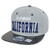 California Cali Dark Animal Snake Skin Faux Grey Blue Snapback Flat Bill Hat Cap