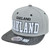 Oakland City Dark Animal Snake Skin Faux Grey Black Snapback Flat Bill Hat Cap