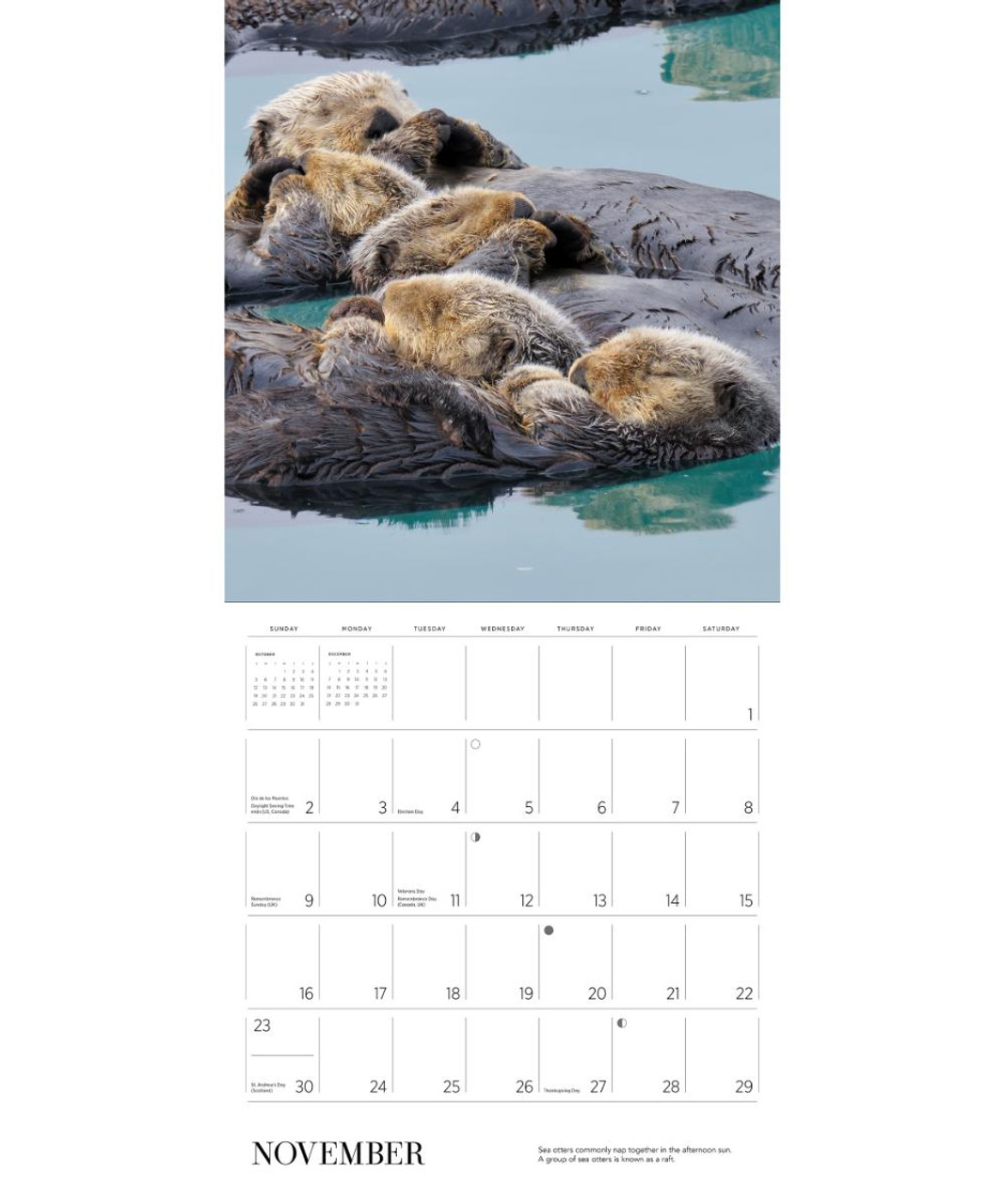 Sea Otters Photographs by Tom and Pat Leeson 2025 Wall Calendar Pen