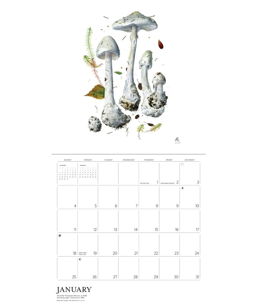 Mushrooms Alexander Viazmensky 2026 Wall Calendar
