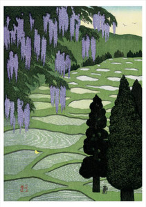 Kazuyuki Ohtsu: Wisteria in Bloom in Mountain Area Notecard