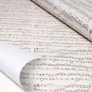 WRAPPING PAPER - MUSICAL NOTE