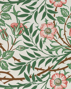 Keepsake Boxed Notecards - William Morris