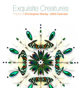 Exquisite Creatures: The Art of Christopher Marley - 2024 Wall Calendar