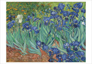 Vincent van Gogh: Irises Notecard