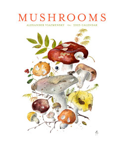 Mushrooms: Alexander Viazmensky 2025 Wall Calendar