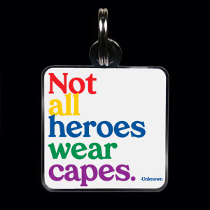 CCD329 pet charm - not all heroes (ea)