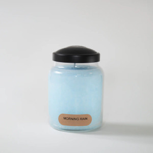 JNB 188-6OZ-SMALL KEEPERS OF THE LIGHT JAR CANDLE Morning Rain