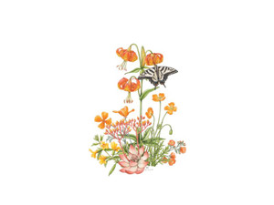 Erin E. Hunter: Wildflowers in Orange - Birthday Card