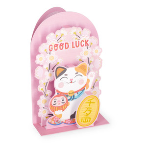 POP-UP CARD - POP-UP GREETING CARD - KITTY