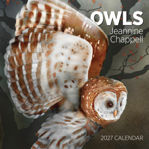 Owls: Jeannine Chappell 2027 Wall Calendar