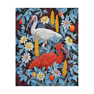 Vasilisa Romanenko: Ibises Notecard