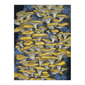 Vasilisa Romanenko: Yellow Oyster Mushrooms Notecard
