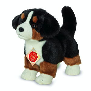 Hermann Teddy Bernese Mountain Dog Puppy standing 23 cm