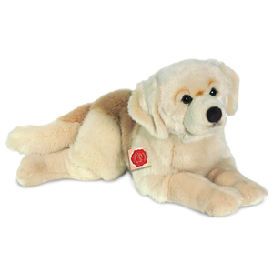 Hermann Teddy Golden Retriever lying  60 cm