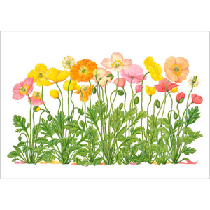 Erin E. Hunter: Iceland Poppies Birthday Card