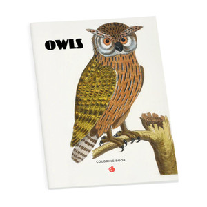 Owls Coloring Book
