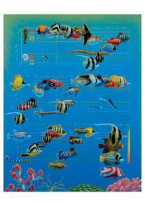 Charles Lynn Bragg: Musical Fish Notecard - Pack of 6