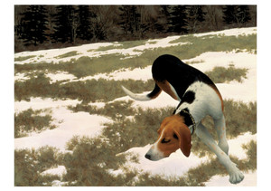 Hound in Field Notecard - Pack of 6
