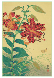 Tiger Lilies and Butterfly Notecard