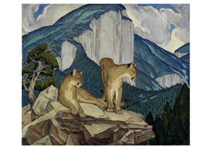 Mountain Lions Notecard - Pack of 6