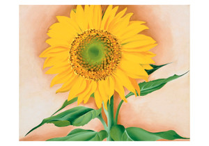 Georgia O'Keeffe: A Sunflower from Maggie Small Boxed Cards - Pack of 3