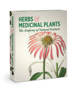 Herbs and Medicinal Plants Knowledge Cards - Pack of 1
