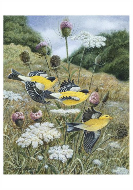 John A. Ruthven: Goldfinch Notecard