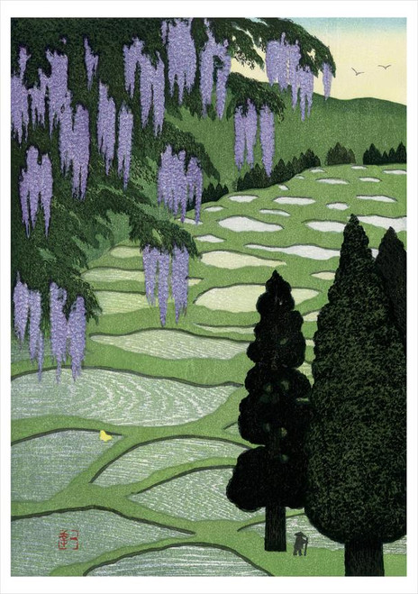 Kazuyuki Ohtsu: Wisteria in Bloom in Mountain Area Notecard