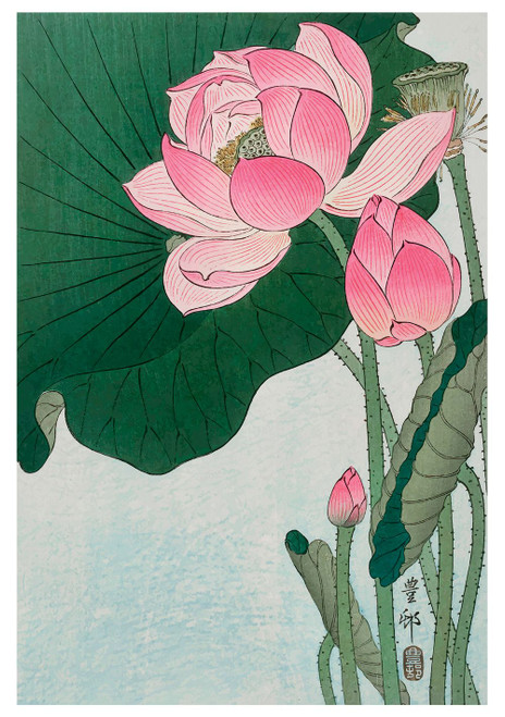 Ohara Koson (Sh?son): Blooming Lotus Notecard