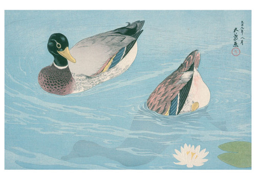 Ducks Notecard - Hashiguchi Goyo