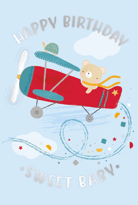 GREETING CARD - TEDDY PLANE - PACK OF 5
