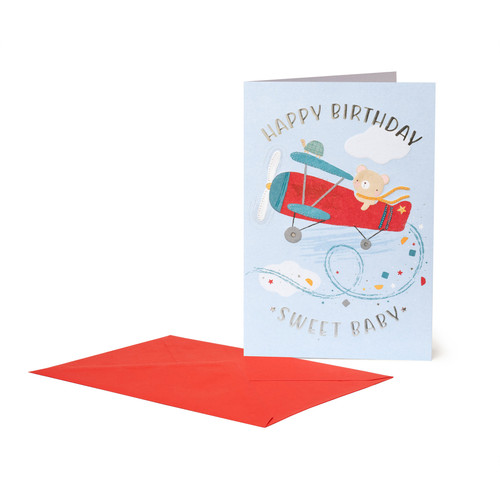 LARGE GREETING CARD - GREETING CARD - TEDDY PLANE
