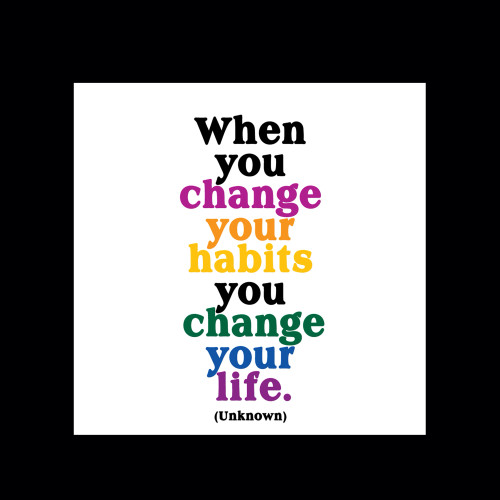 MDX29 magnet - change your life (ea)