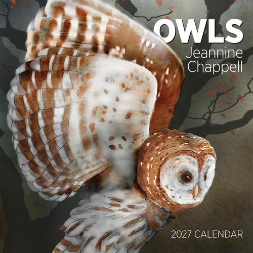 Owls: Jeannine Chappell 2027 Wall Calendar