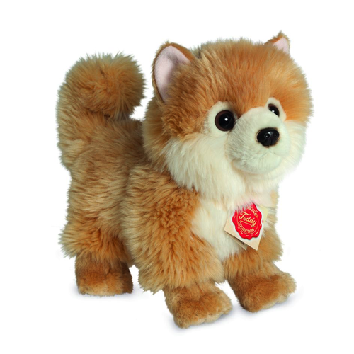 Hermann Teddy Pomeranian Dog standing 22 cm