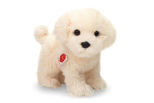 Hermann Teddy Maltese dog standing 23 cm