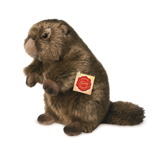 Hermann Teddy Marmot 20 cm