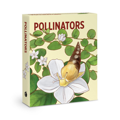 Pollinators Knowledge Cards