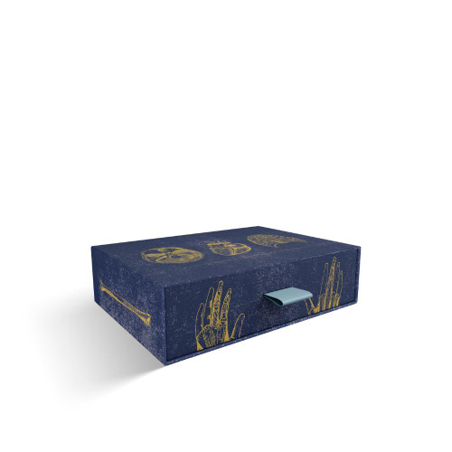 Vintage Anatomy Slipcase Boxed Notecards